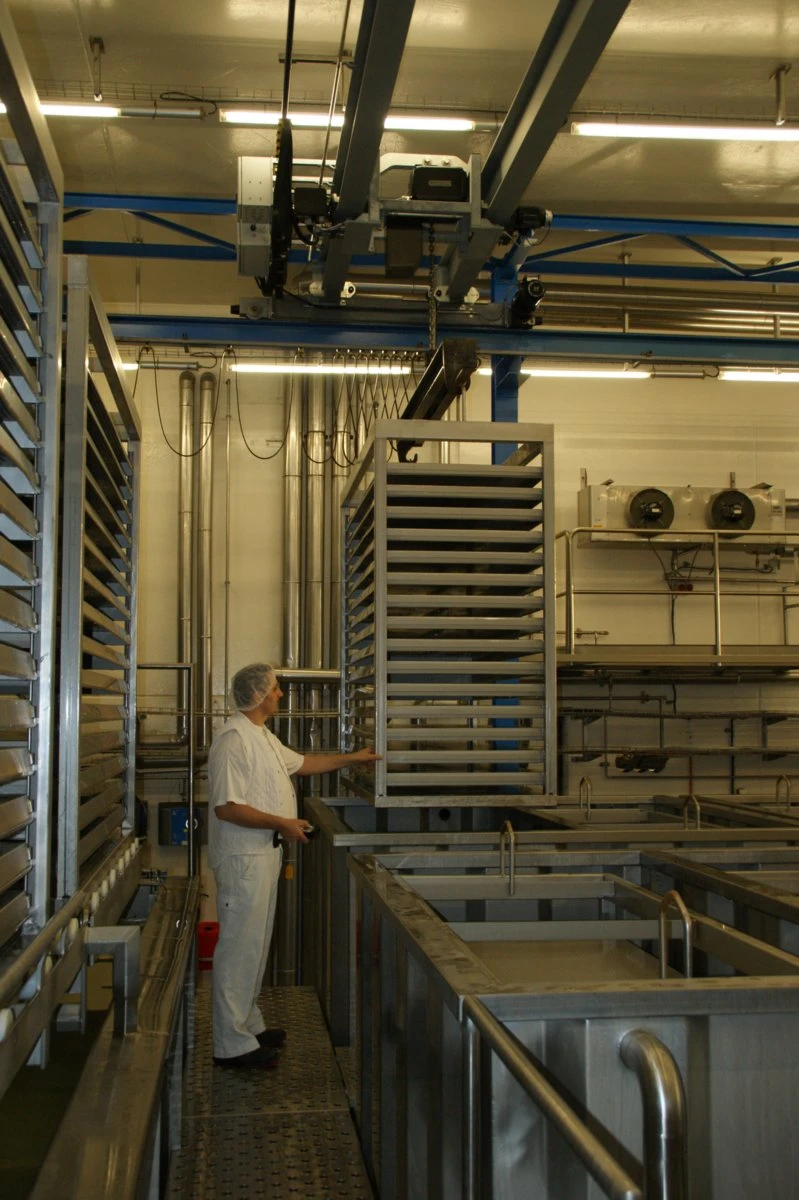 GIS GPR korrosionsbeständig elektrisk kättingtelfer – produktbild 10